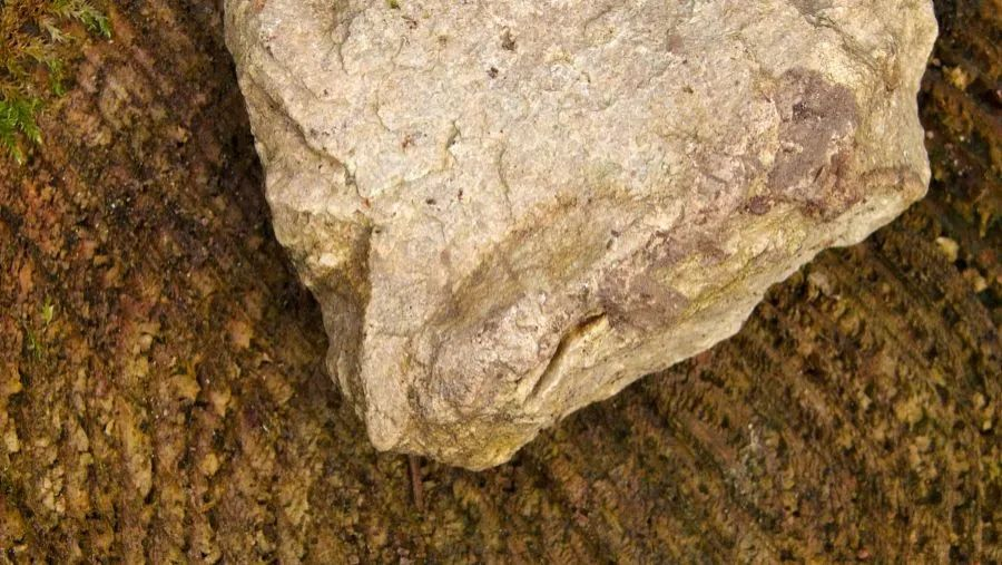 鎂資源的定價機制